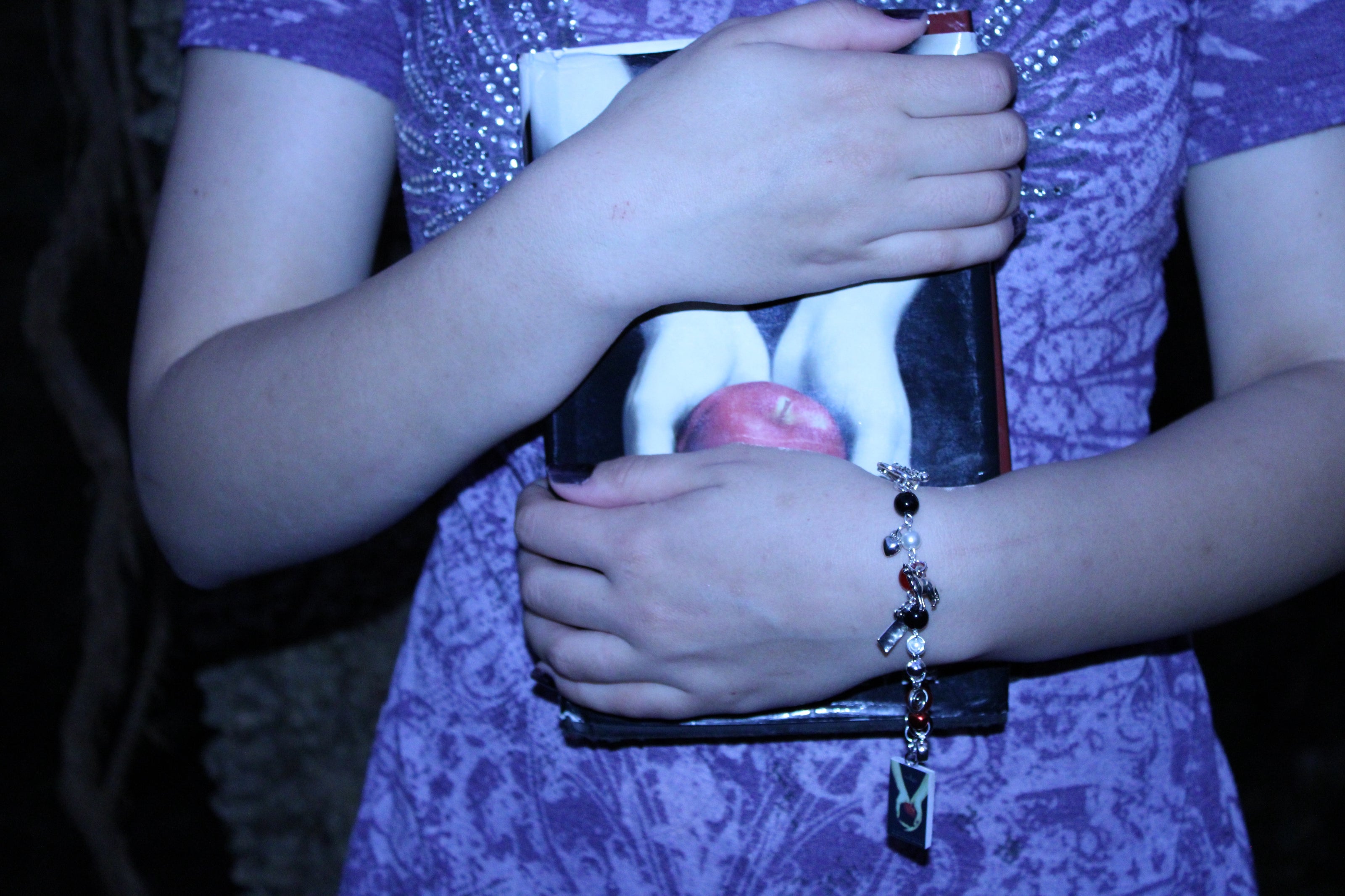 Twilight Charm Bracelet